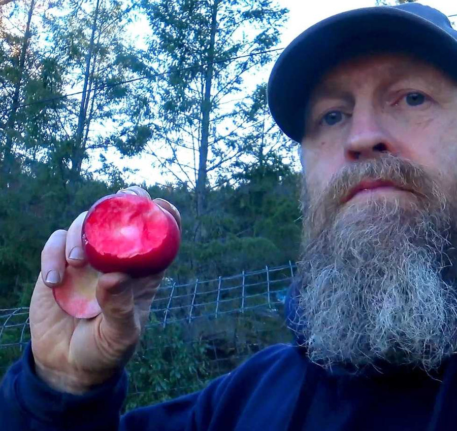 Skillcult Apples