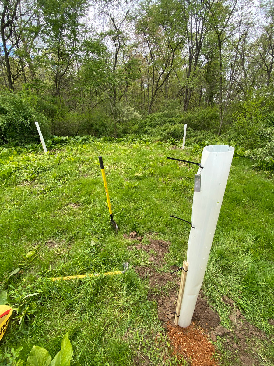 Tree Tubes