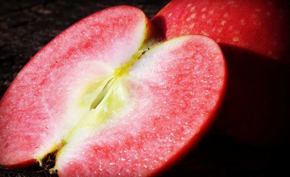 Appleoosa