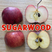 Sugarwood