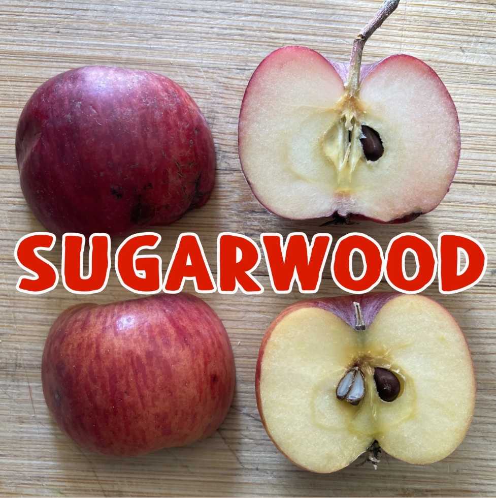 Sugarwood