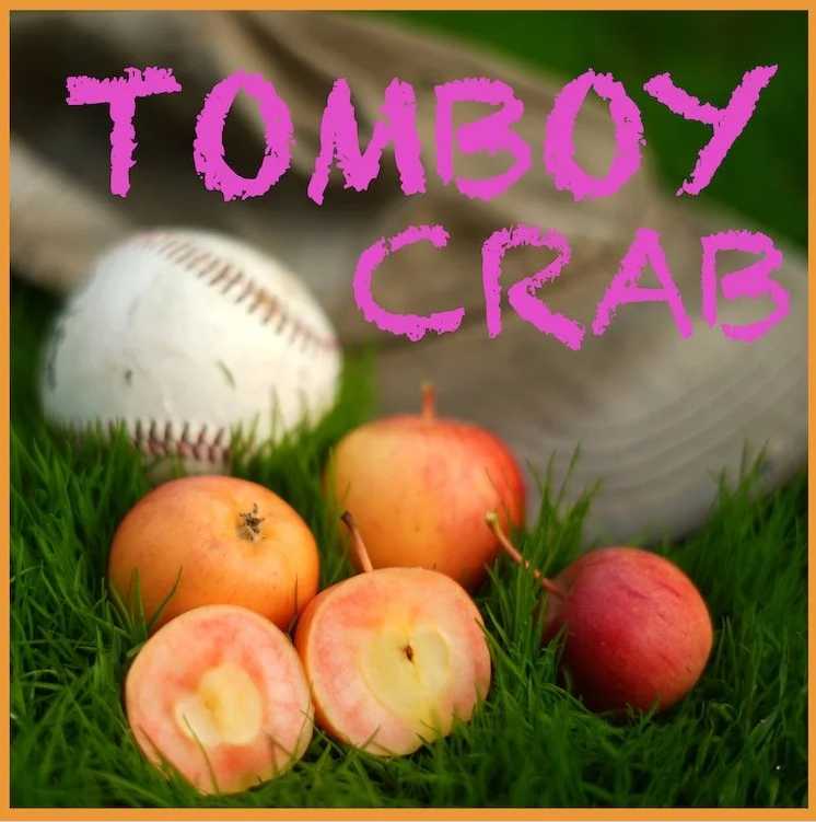 Tomboy Crab