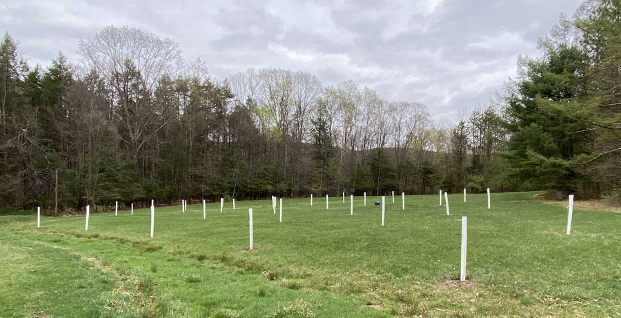 Tree Tubes